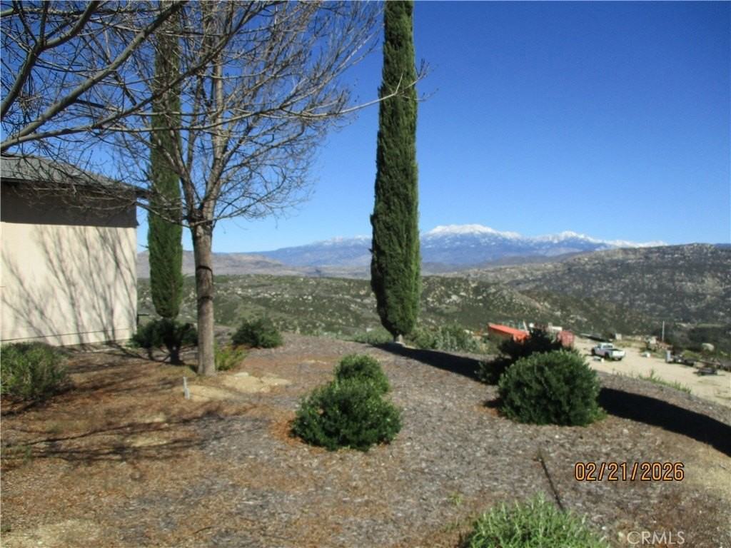 34135 Cameron Dr #B - Photo 3 of 36