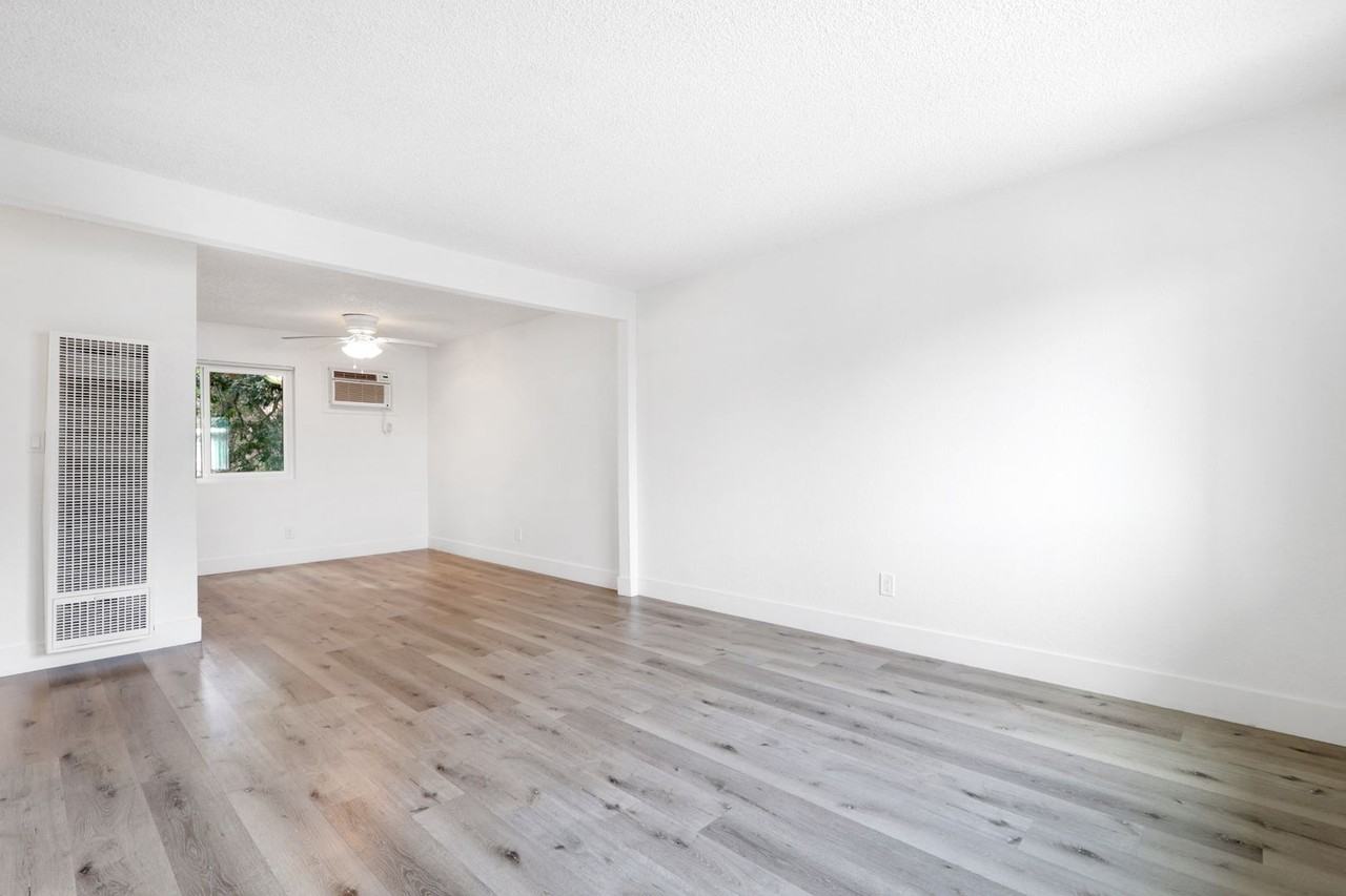 Vivleo - Photo 2 of 35