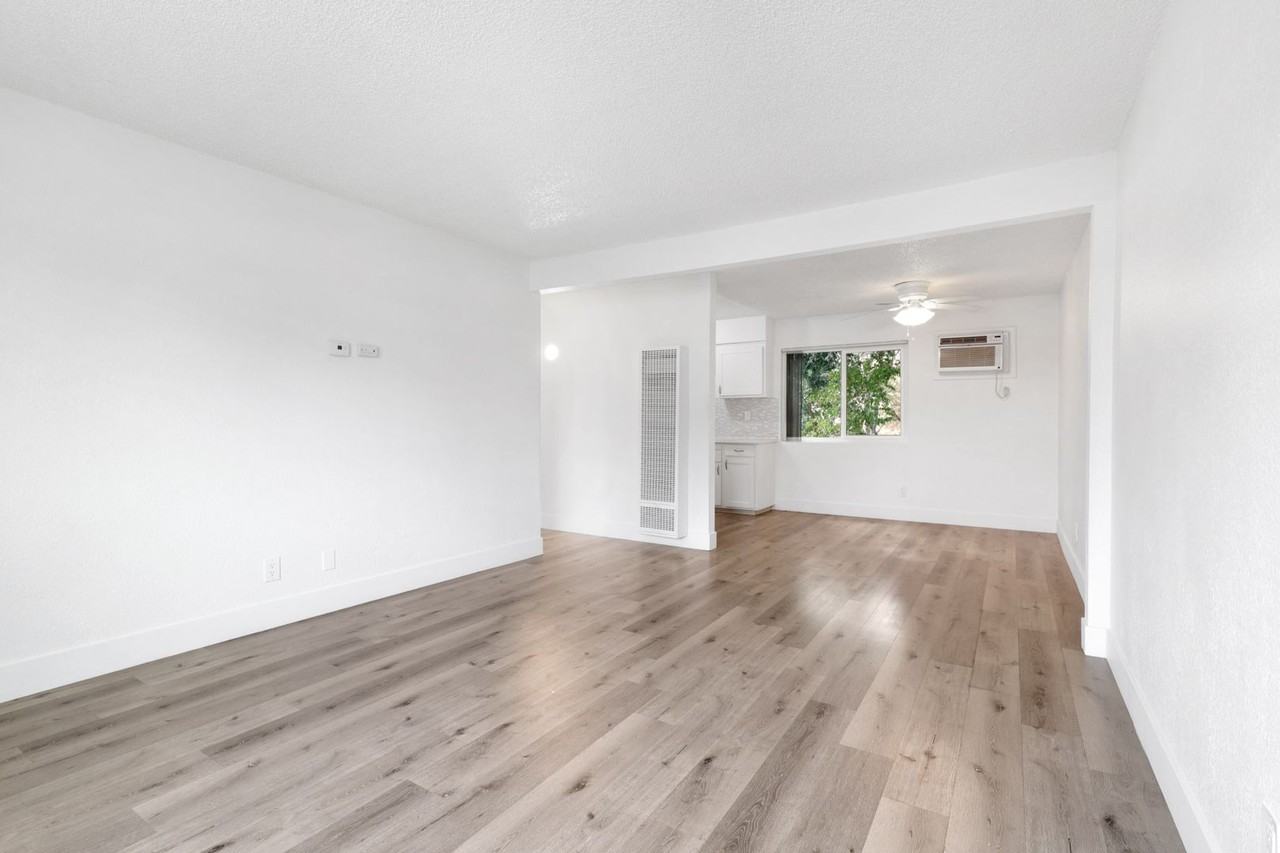 Vivleo - Photo 3 of 35