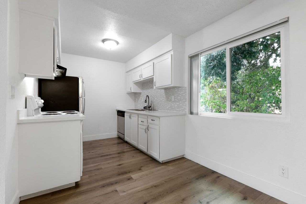 Vivleo - Photo 5 of 35