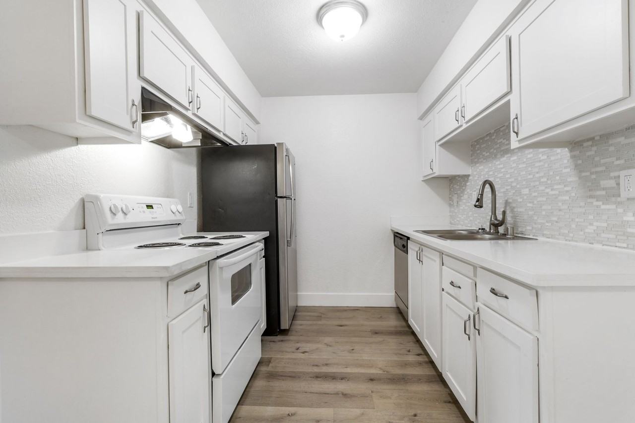 Vivleo - Photo 6 of 35