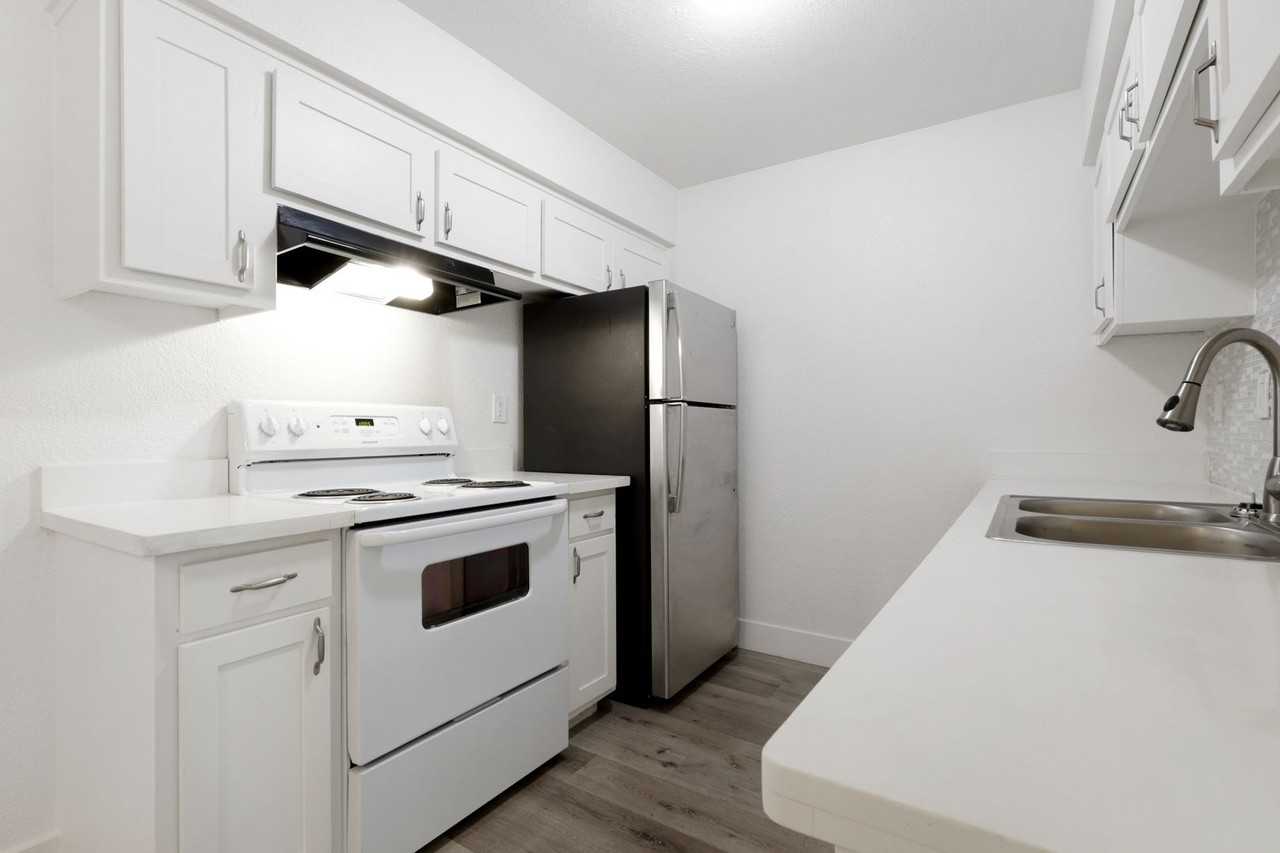 Vivleo - Photo 7 of 35