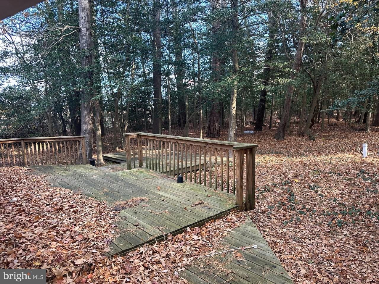 20161 John J Williams Hwy - Photo 6 of 9