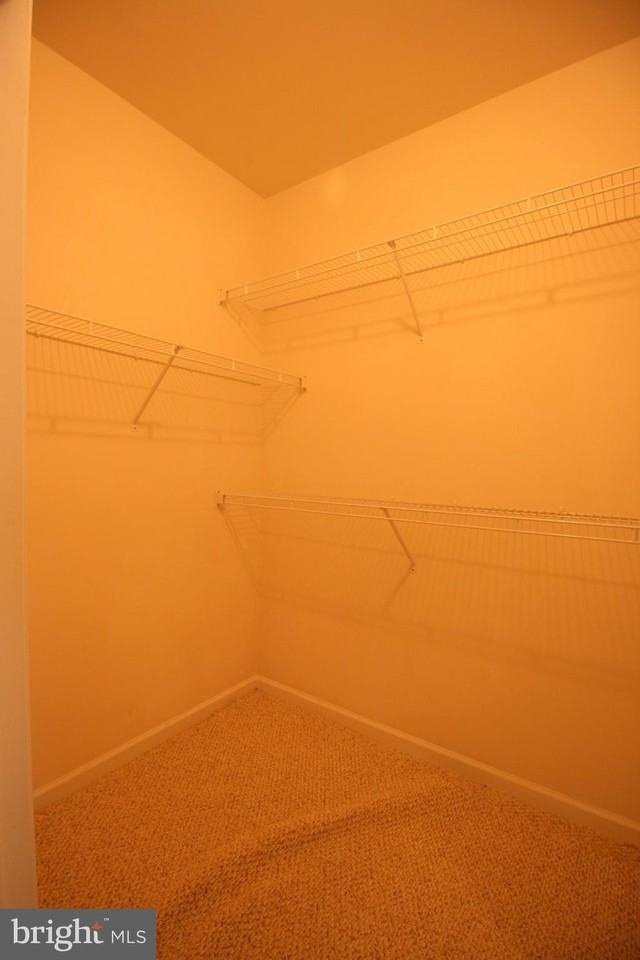 3810 Lightfoot St Unit 308 - Photo 5 of 30