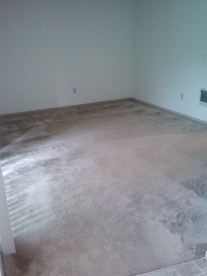 Meadows Apartments - Photo 6 of 9