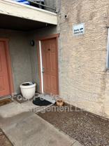 2813 E Paradise Ln #102 - Photo 1 of 1