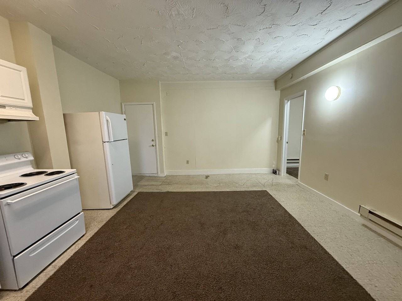 357 South 3rd Street (309 and 311 South Pine St) - Photo 3 of 7