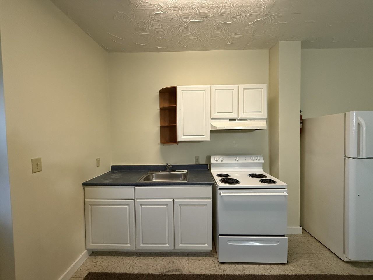 357 South 3rd Street (309 and 311 South Pine St) - Photo 4 of 7