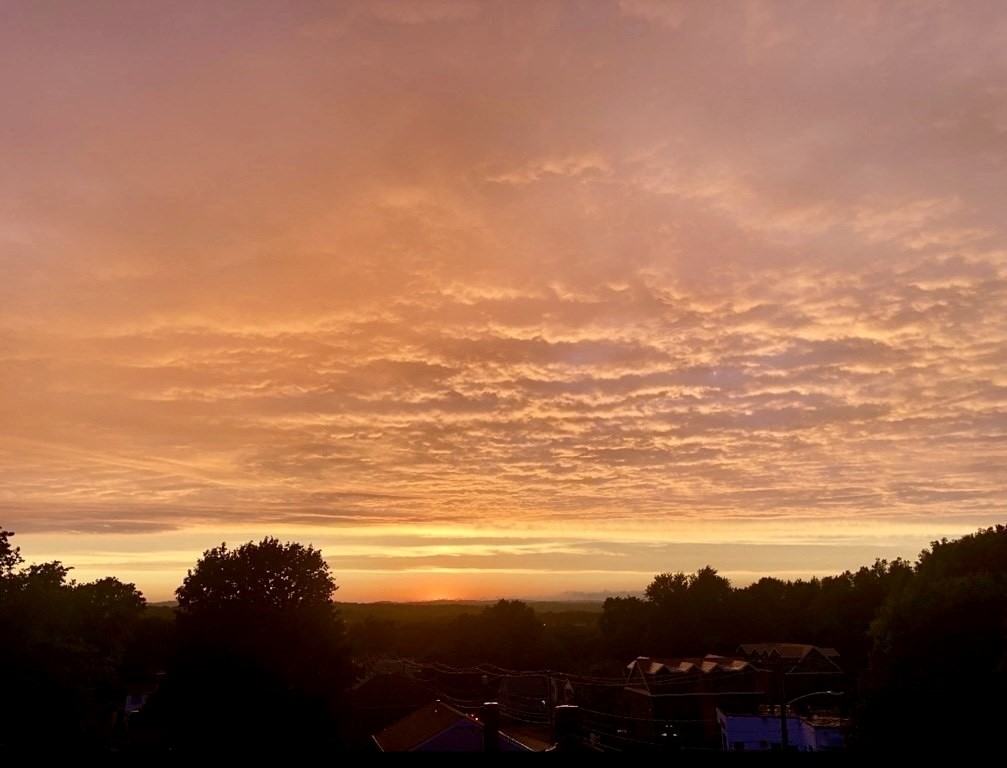 308 Quarry St #303 - Photo 4 of 27