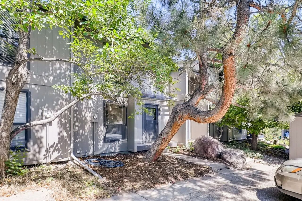 1225 Bear Mountain Dr - Photo 3 of 28