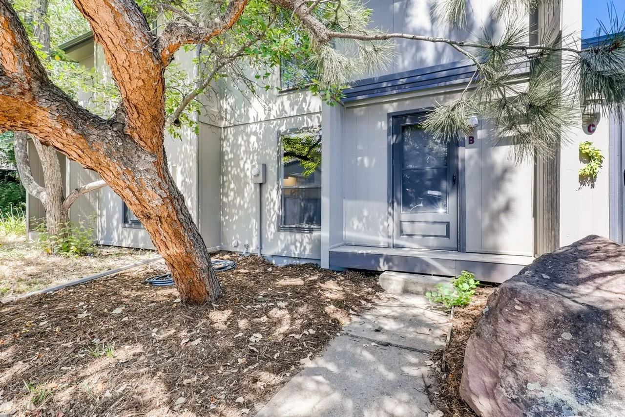 1225 Bear Mountain Dr - Photo 4 of 28