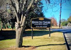 Old English - Photo 1 of 1