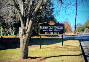 Old English - Photo 1 of 1