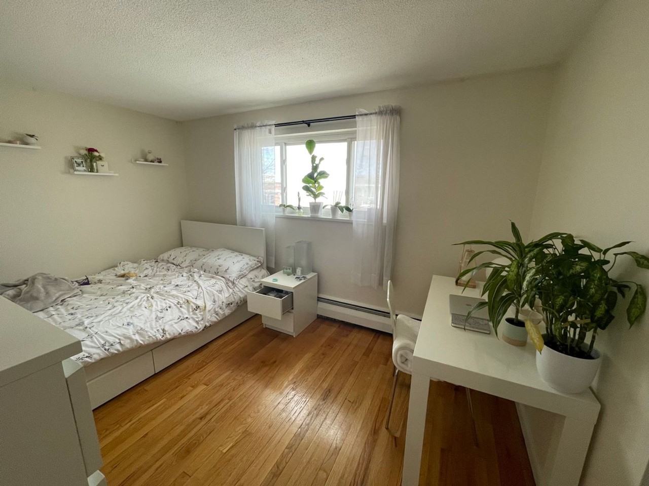 288 Corey Rd - Photo 6 of 6