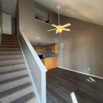 Lacy Portfolio - Photo 1 of 1