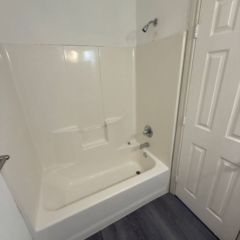 Lacy Portfolio - Photo 6 of 24