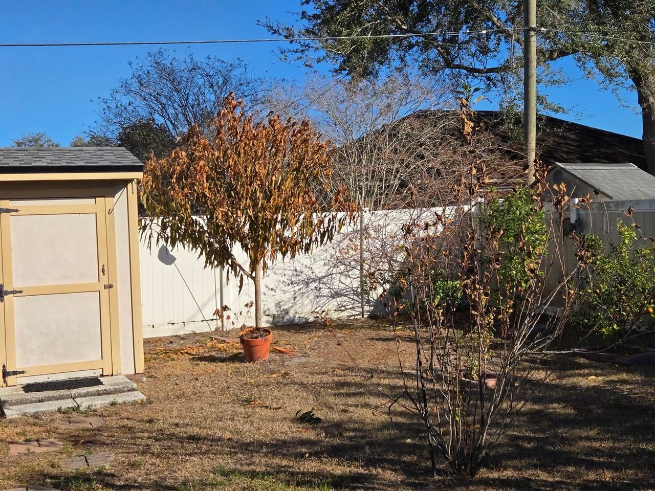 1921 Algonquin Ave - Photo 7 of 14