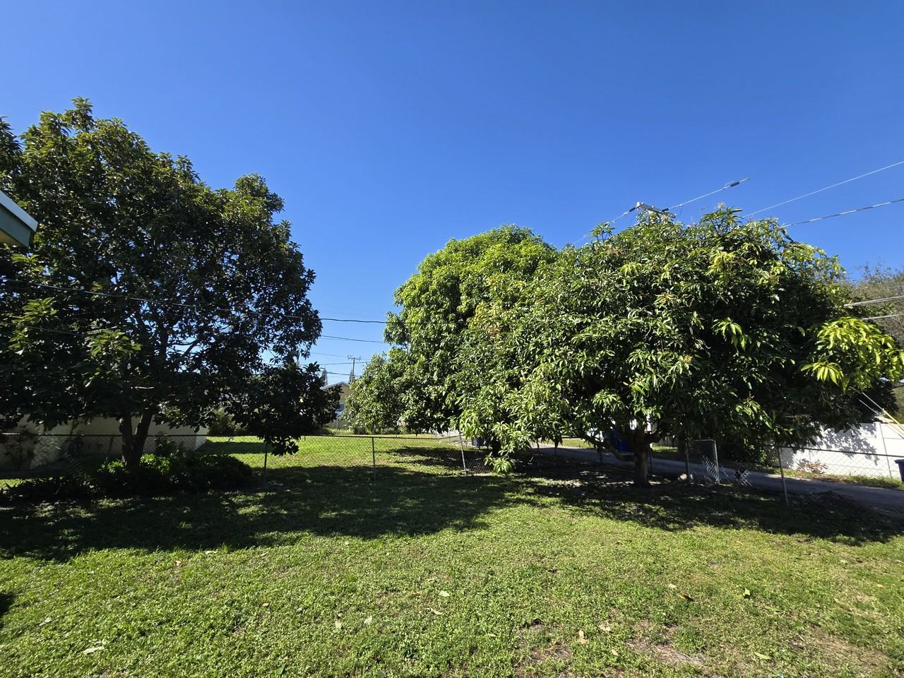 2339 Roosevelt St - Photo 5 of 8