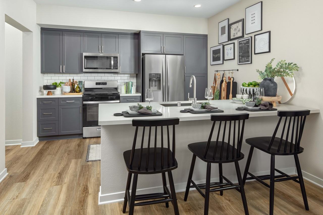 Aviara at Mountain House - Photo 2 of 18