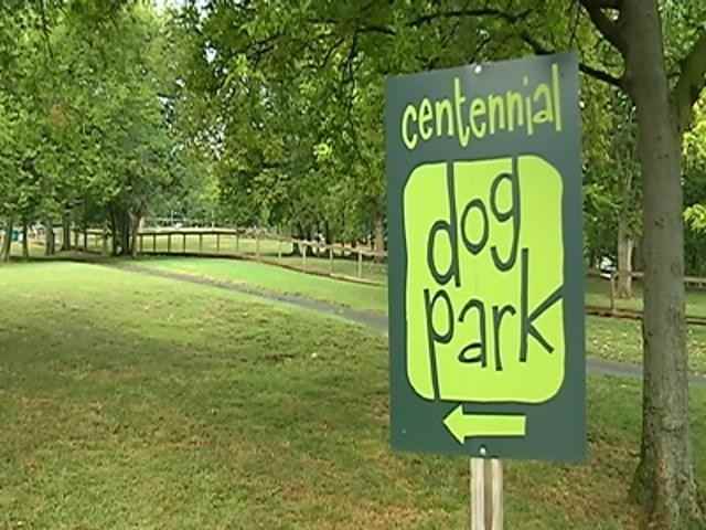 The Headliner - Photo 4 of 4