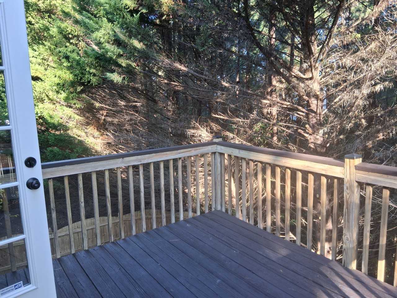 8083 Colton Creek Way #1 - Photo 4 of 19