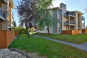 featured image of 46 10-46 Sparrow Road