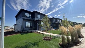 The Nest - Photo 1 of 1