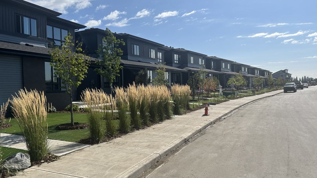 The Nest - Photo 2 of 21