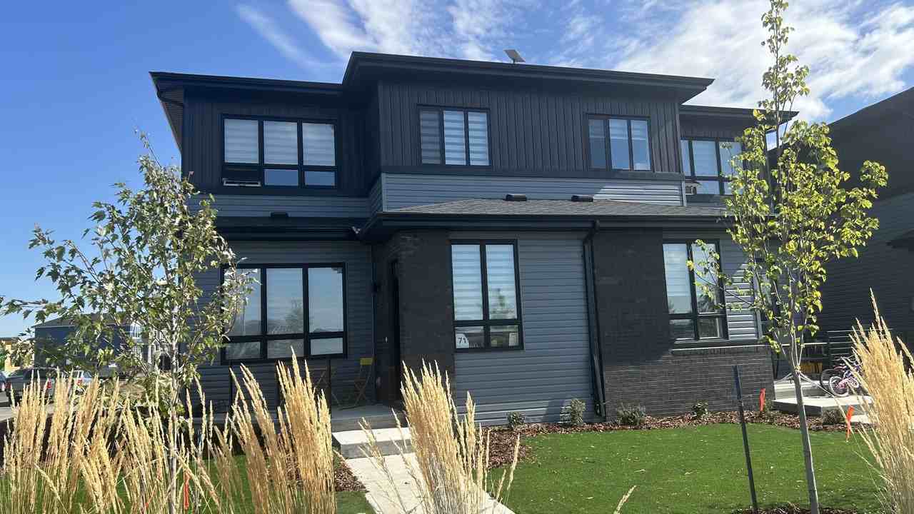 The Nest - Photo 3 of 21