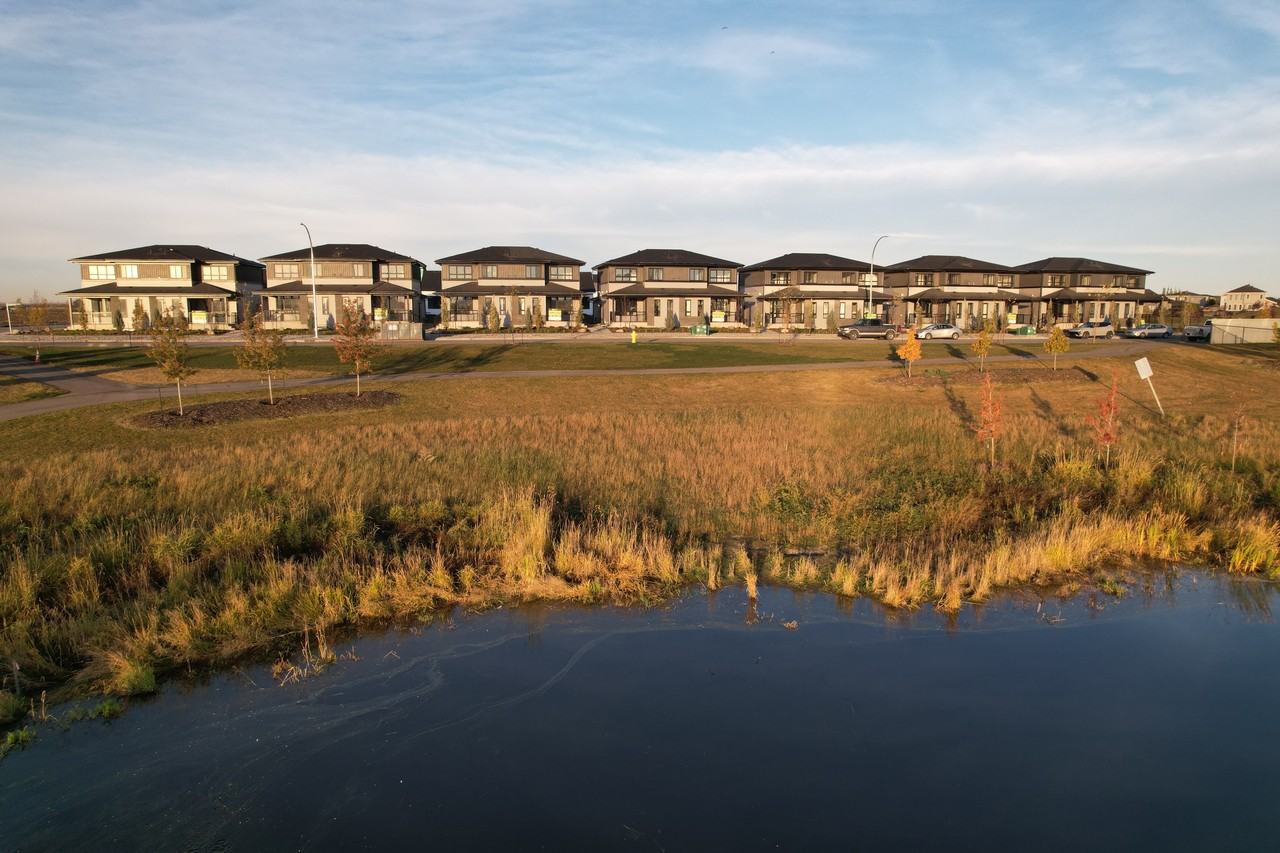 The Nest - Photo 4 of 21