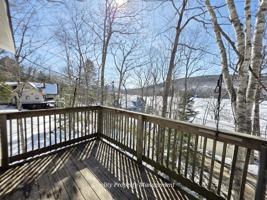 featured image of 116 Pine Trl #1