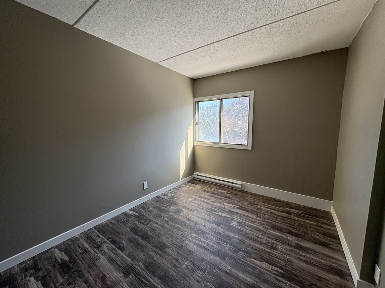 411 Ellerdale St #409 - Photo 4 of 15