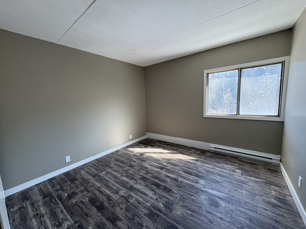 411 Ellerdale St #409 - Photo 5 of 15