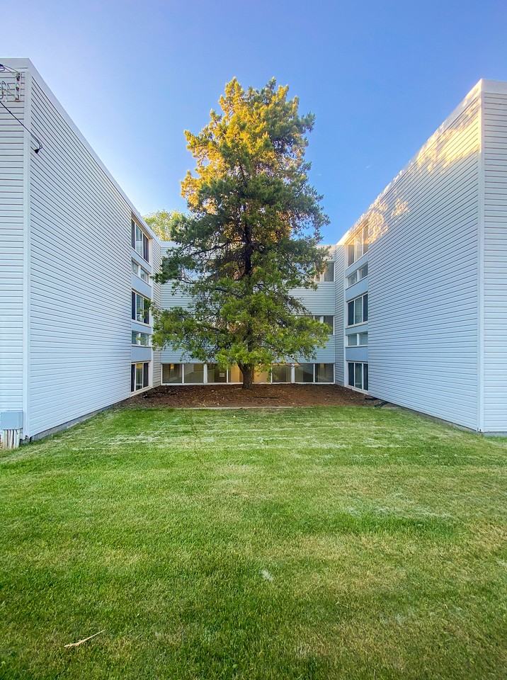 Westwood - Get 1 Month Free! - Photo 4 of 37