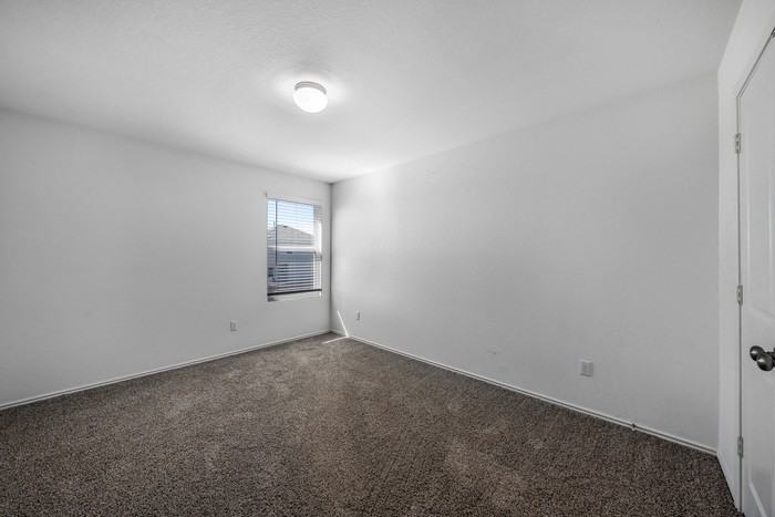 124 Concho Brook Bnd - Photo 3 of 15