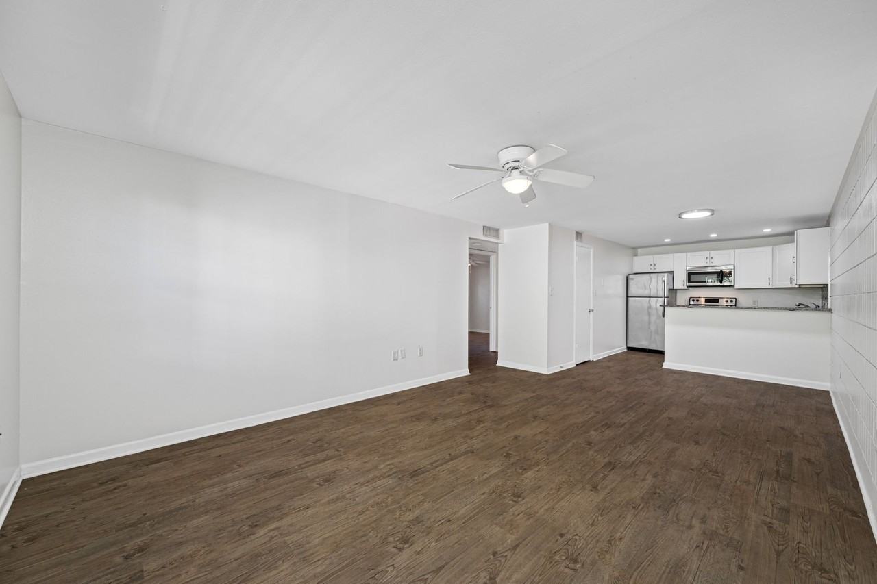 Renovated Apartment in the Heart of South Tampa - Photo 2 of 50