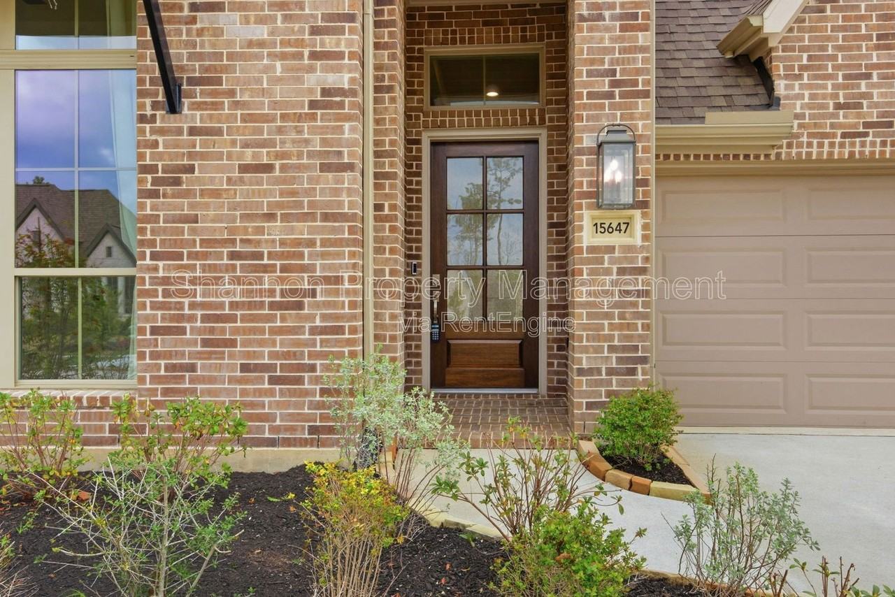 15647 Turtlehead Trl - Photo 5 of 47