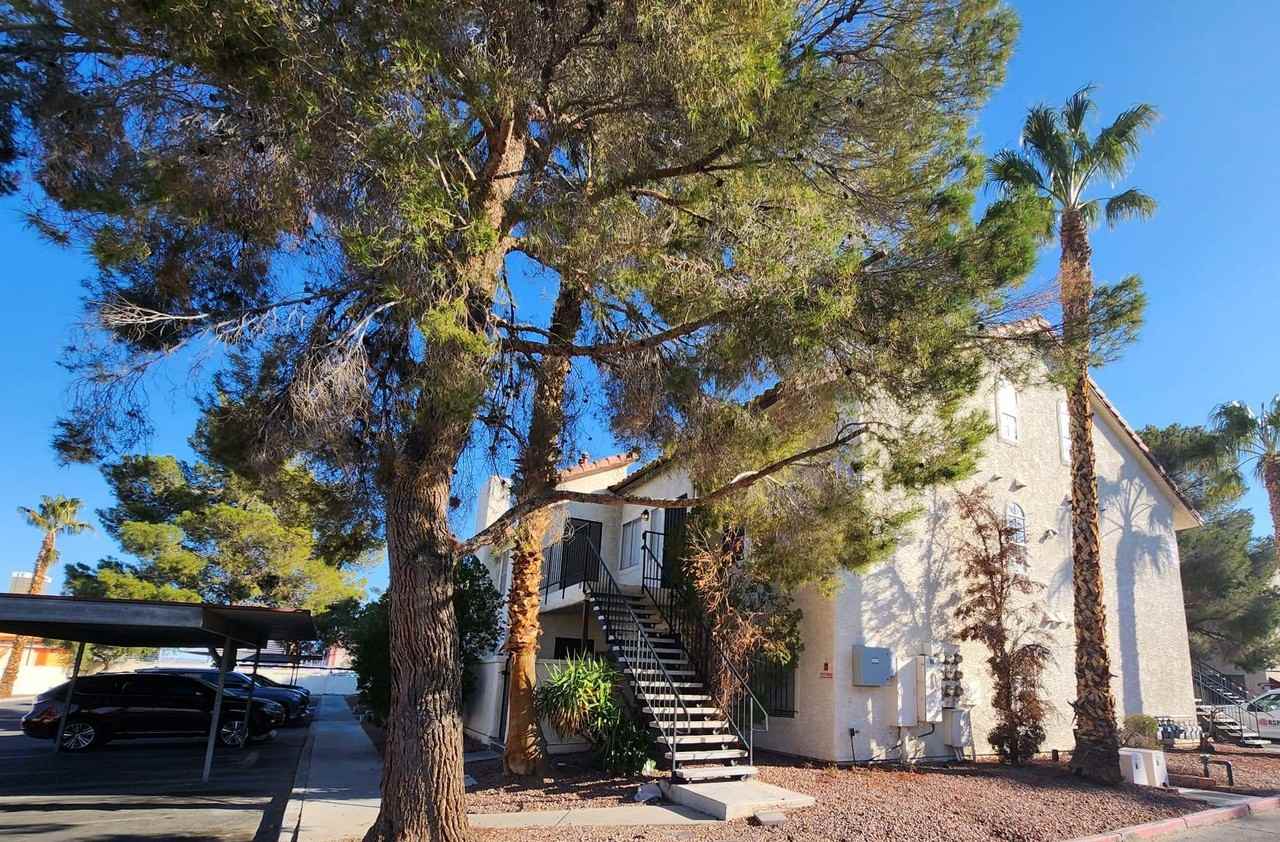 3923 Gogo Way #1 - Photo 3 of 37