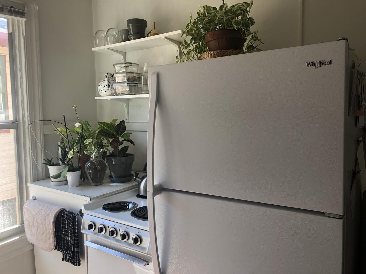 1416 S Lorenzo Ave #4 - Photo 5 of 11