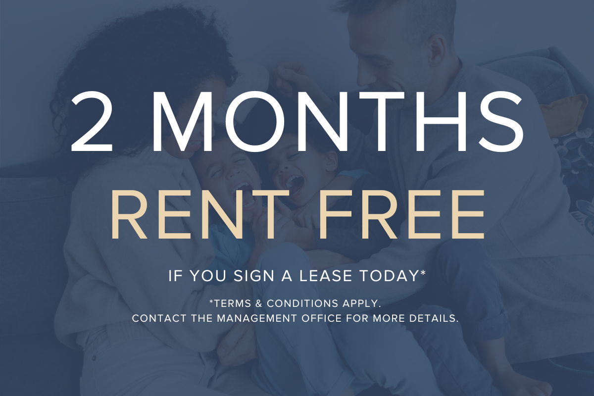 Nuovo Apartments - Photo 2 of 19