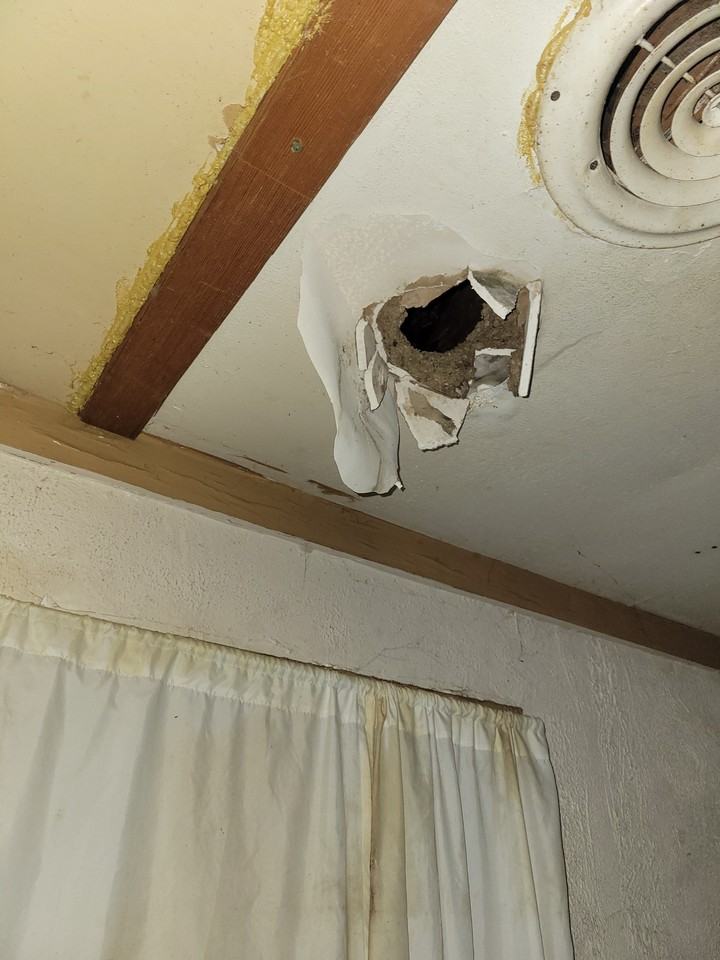 1714 S Lydia Ave - Photo 2 of 37