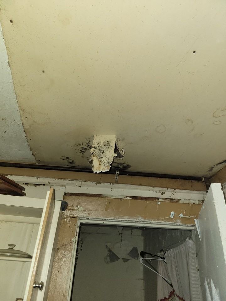 1714 S Lydia Ave - Photo 4 of 37