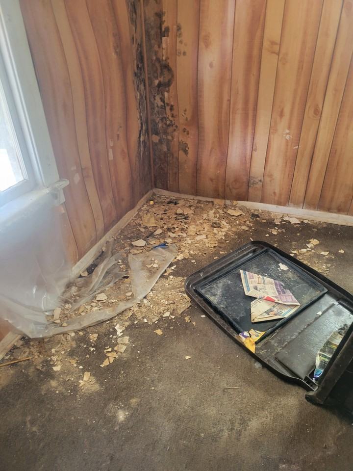 2601 W Latrobe St - Photo 2 of 41