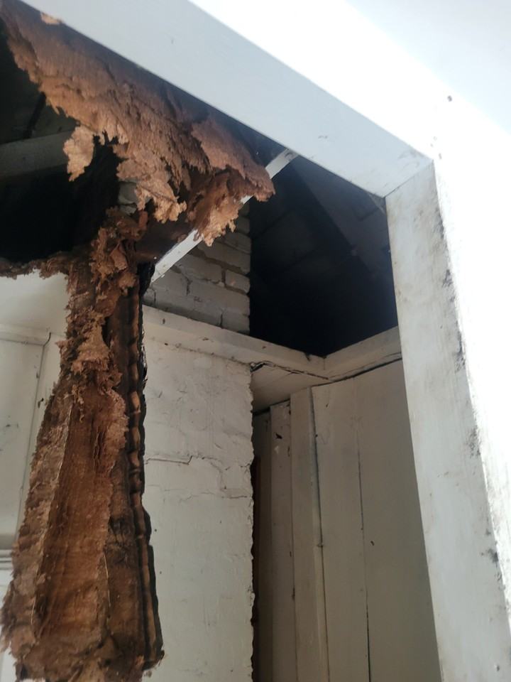 2601 W Latrobe St - Photo 7 of 41