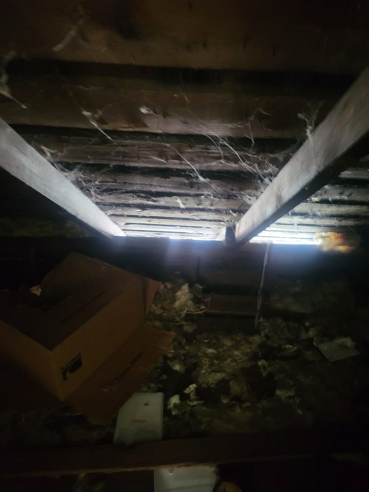 2601 W Latrobe St - Photo 3 of 41