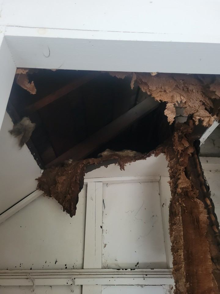 2601 W Latrobe St - Photo 4 of 41