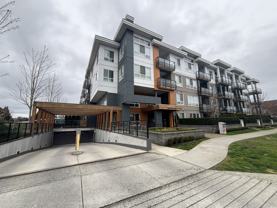 4690 Hawk Lane #312 - Photo 1 of 1