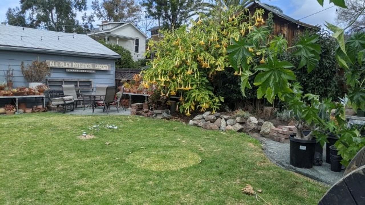 1740 Osos St - Photo 2 of 11