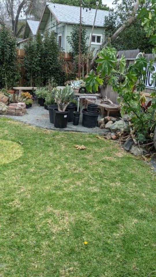 1740 Osos St - Photo 3 of 11