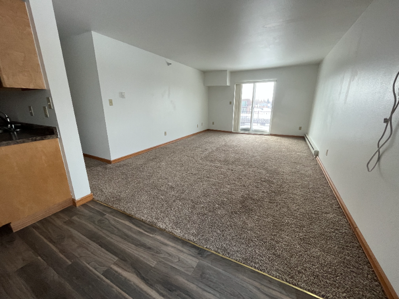 2627 S 17th St #301 - Photo 7 of 15